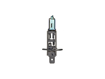 Изображение Bosma lempute H1, P14.5s, 55W, melyna                                                                                                                 